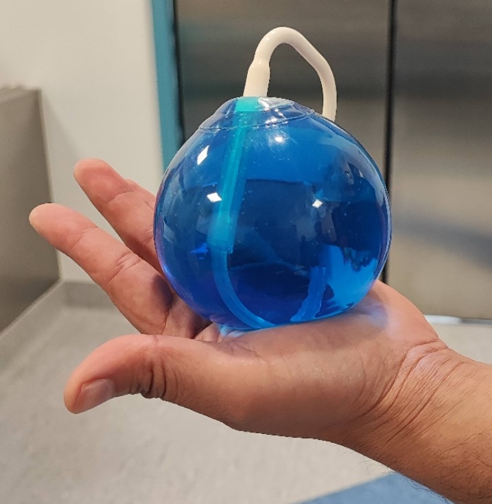 Balones Intragástricos: menos hambre, más control